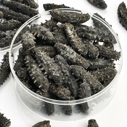 海参等干海鲜如何选择好用的数粒包装机？