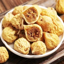 什么是电子数粒机？