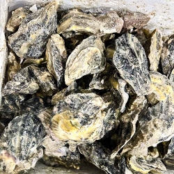 电子数粒机在食品行业中的应用优势
