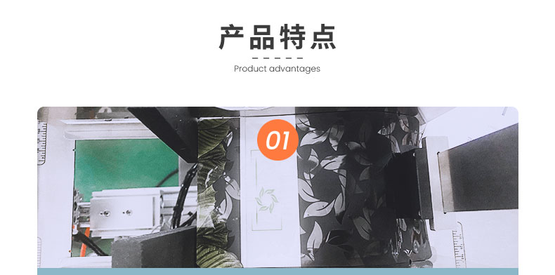 软糖给袋式计数包装机.jpg 软糖给袋式计数包装机.jpg