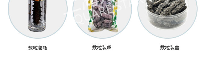 海参干数粒包装机1