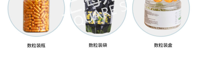 胶囊数粒机1 胶囊数粒机1